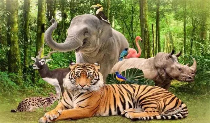 国内小众4个海岛人少景美还便宜,富国岛旅游攻略免签