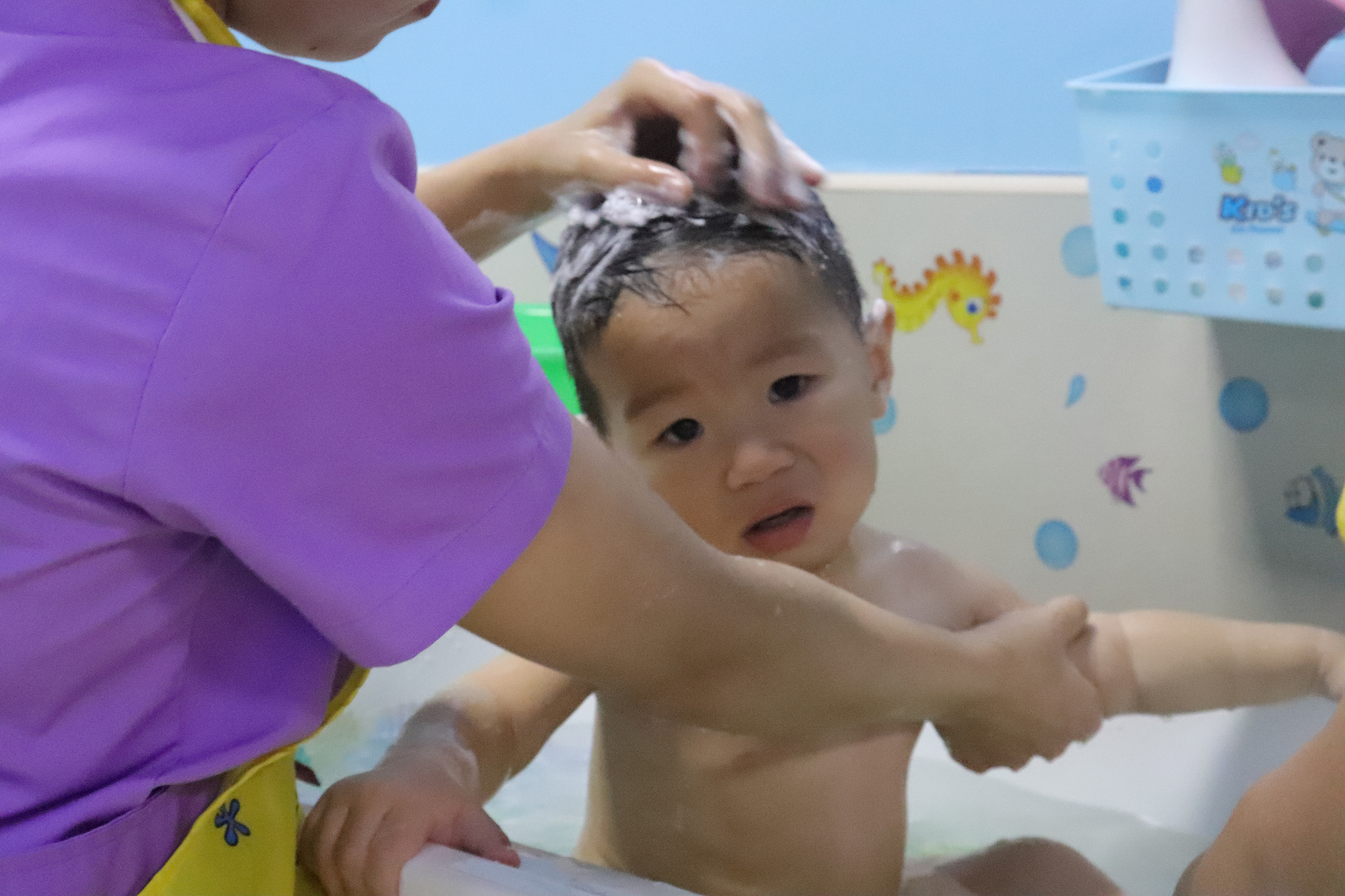 香港亲子游泳内蒙,香港儿童游泳