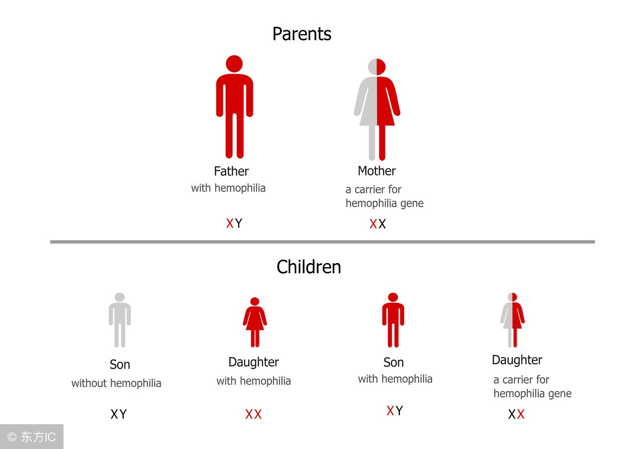 血友病有可能治好吗,血友病的人