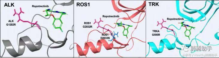 第四代抗癌新药,抗癌新药拉罗替尼
