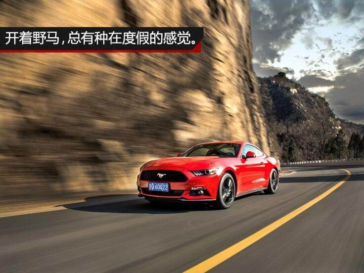 网友：力顶小野马，直喷奥迪宝马 玩脑筋急转弯？