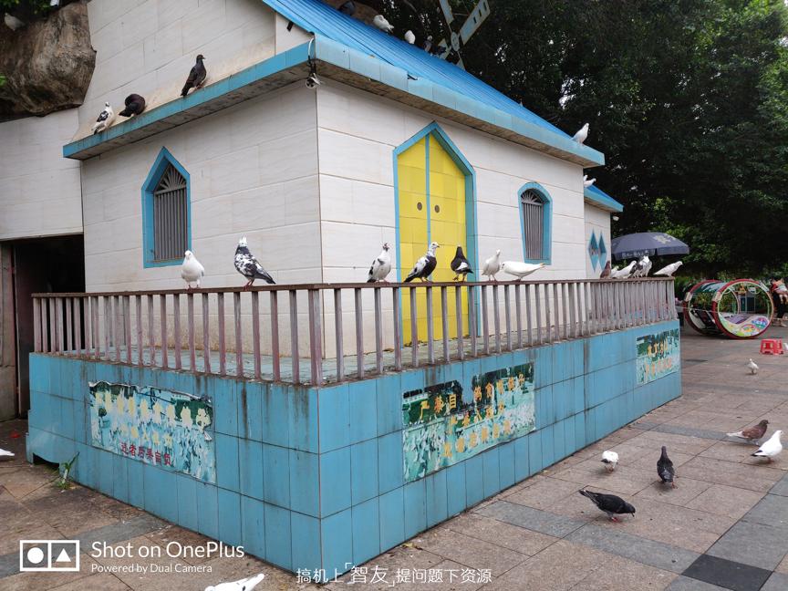 摄影续航-全速旗舰一加6测评：西装暴徒，脱下西装它隐藏着什么？