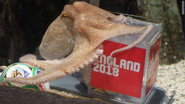 盘点世界杯历代经典歌曲,盘点历届世界杯的经典歌曲