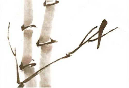 简单国画教程零基础入门植物,国画蔬果茄子与苦瓜的画法