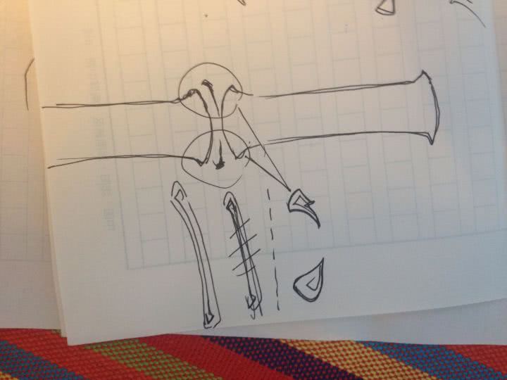 简单国画教程零基础入门植物,国画蔬果茄子与苦瓜的画法