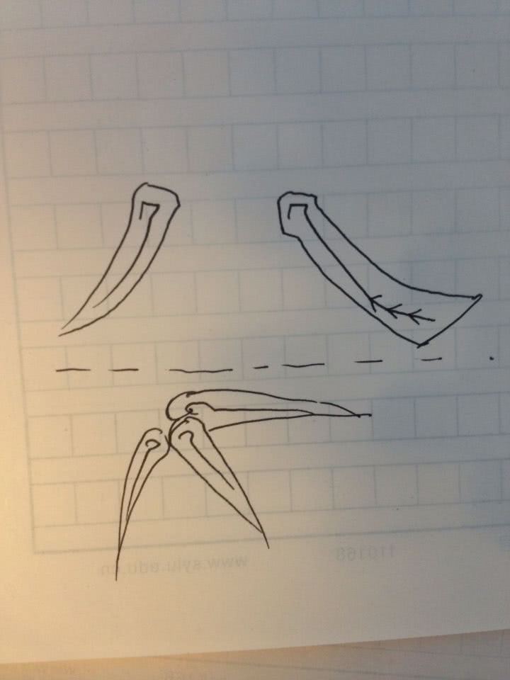 简单国画教程零基础入门植物,国画蔬果茄子与苦瓜的画法