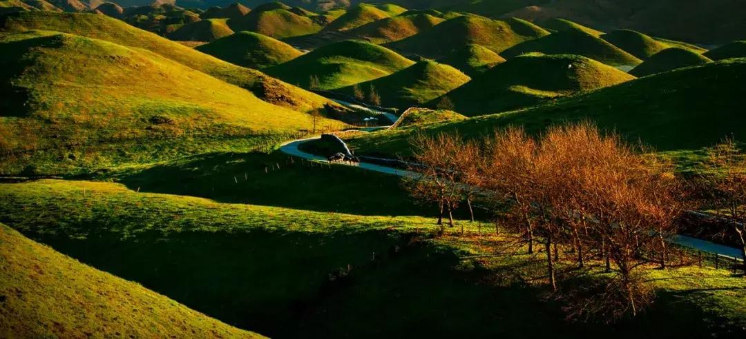 邵阳换新名片了！快传递出去~为你带来更多的人脉、财脉！