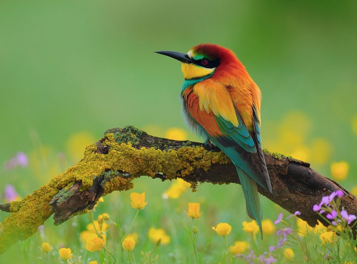 钱是好东西验证了人心见证了人性,钱是好东西男声完整版