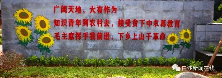 濡傛灉浣犳病鏉ヨ繃娓呮锭,濡傛灉浣犳病鏉ヨ繃绋诲煄