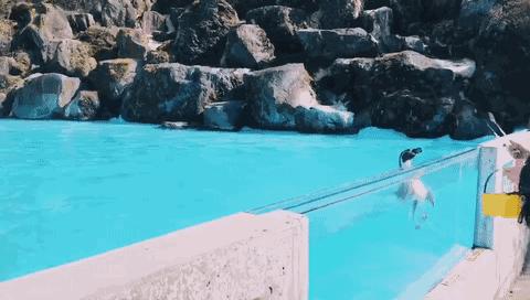 日本九州的宝藏,日本大量宝藏被发现