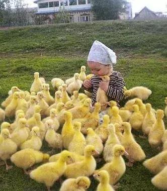 刚拍的你从未见过的集体照,史上最全的集体照