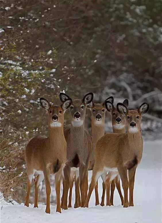 刚拍的你从未见过的集体照,史上最全的集体照