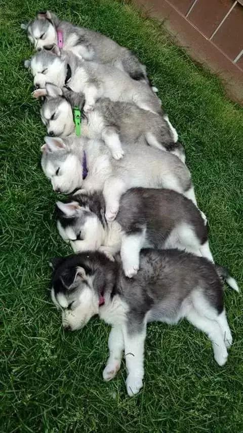 刚拍的你从未见过的集体照,史上最全的集体照