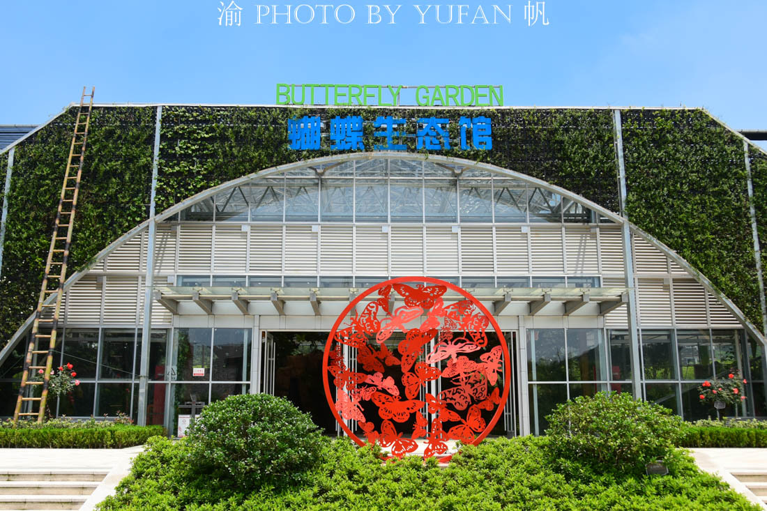 中国的国蝶是什么？居然很多人都不知道！来亚州最大有蝴蝶馆看看