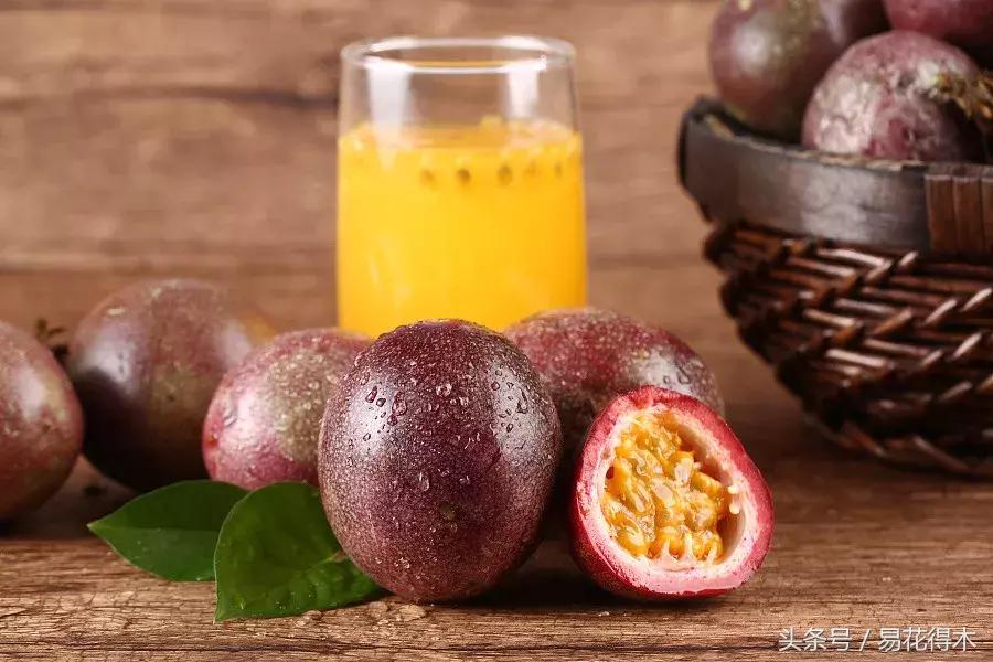 百香果栽培的最佳温度,百香果苗栽培多久能结果