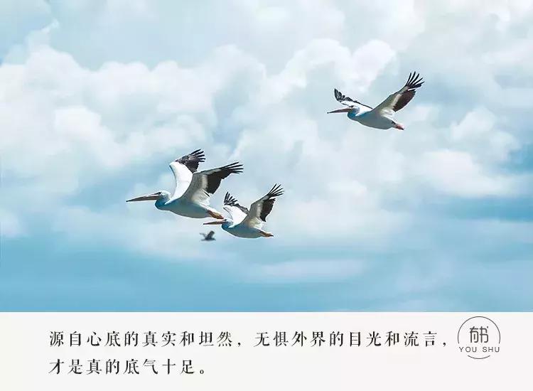 头等舱和经济舱隔了一个帘子,头等舱和经济舱一张帘子两种人生