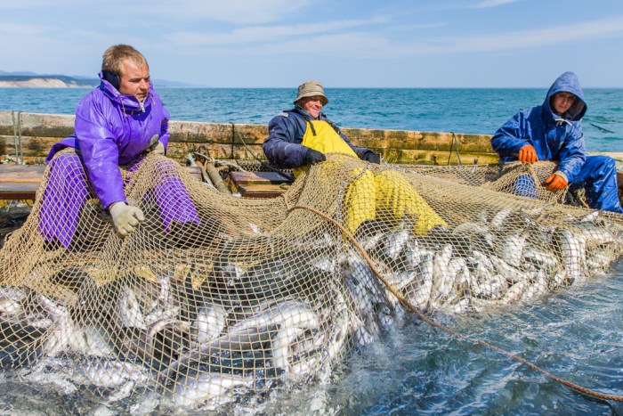 2023年中俄石油领域年成交额,中俄石油贸易现行结算方式