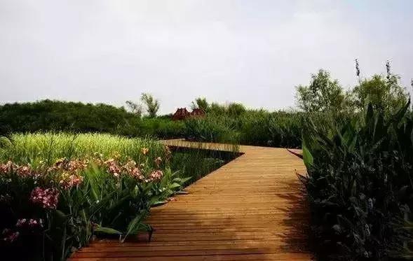 昆明国庆假期自驾游攻略,五一昆明最适合去的地方