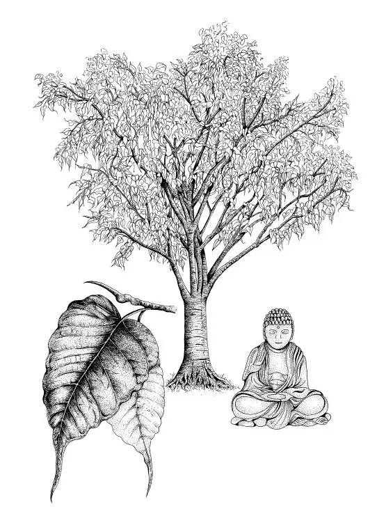 年货精选分享,年货精选30本哲学好书