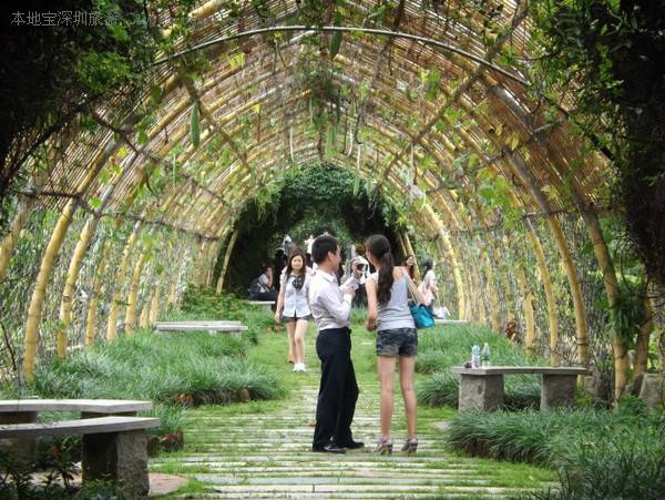 深圳海上田园怎么样,深圳海上田园景区