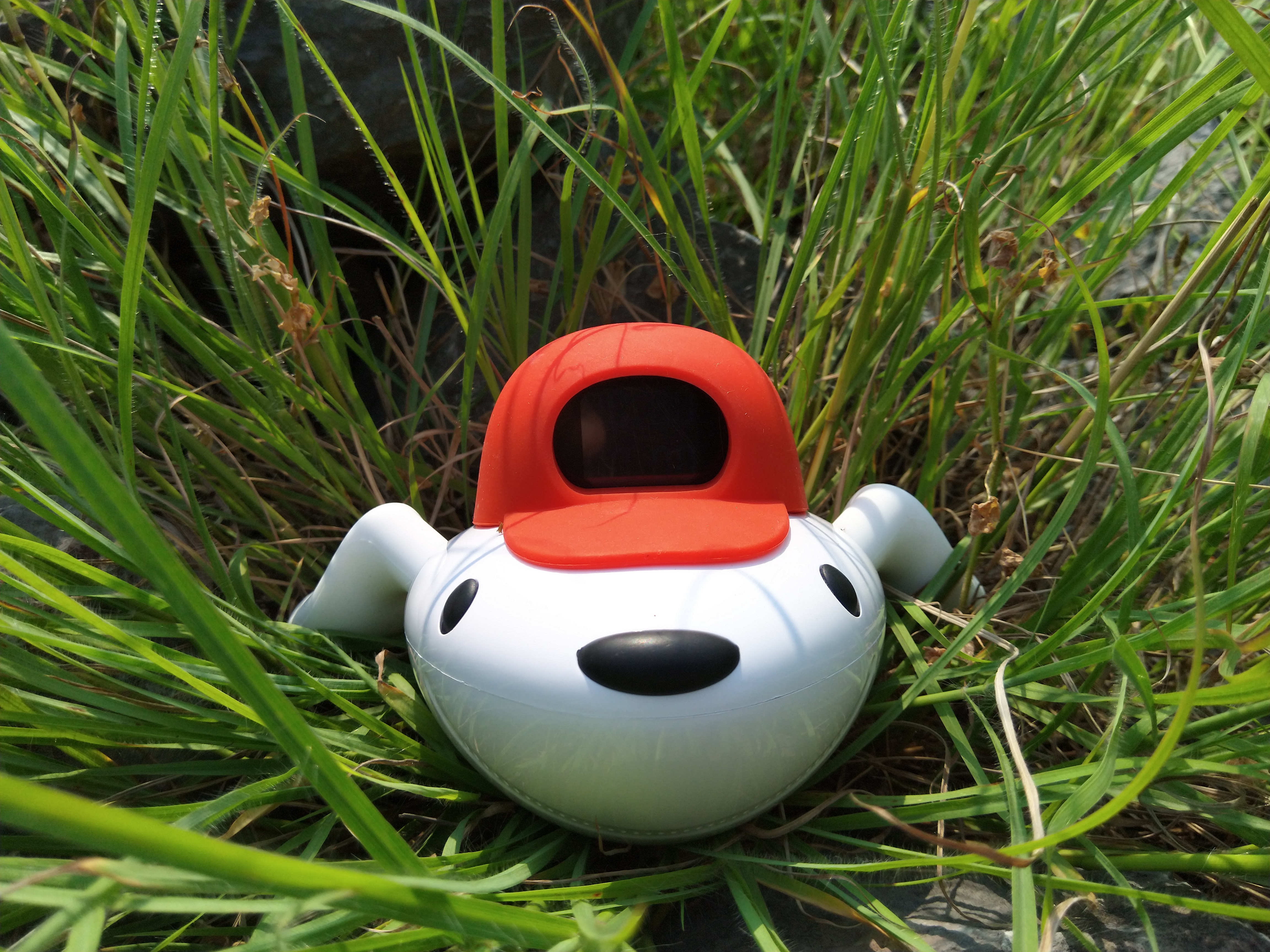 带拍照功能的游戏,手机除游戏拍照还有什么刚需性能