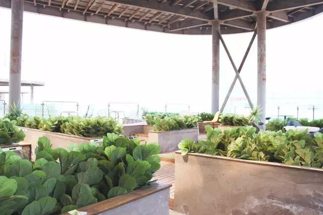 湾流国际——不是市中心的总部基地｜睿和研究