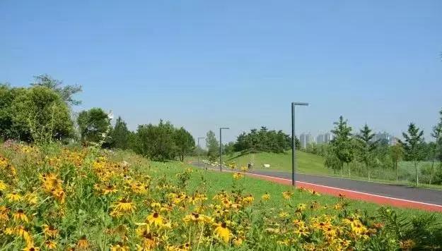 西安最美跑道,在美丽的操场上跑步