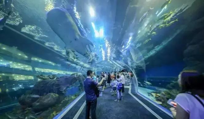 双流县十大美女,双流区漂亮美女