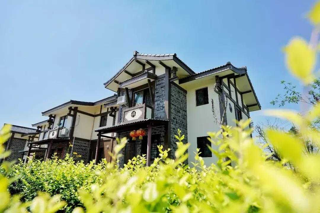 双流人公认的12大美女，一个比一个惊艳，简直是人间极品！