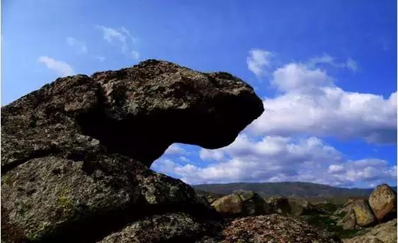 疆内春季风景,疆内美丽旅游景点