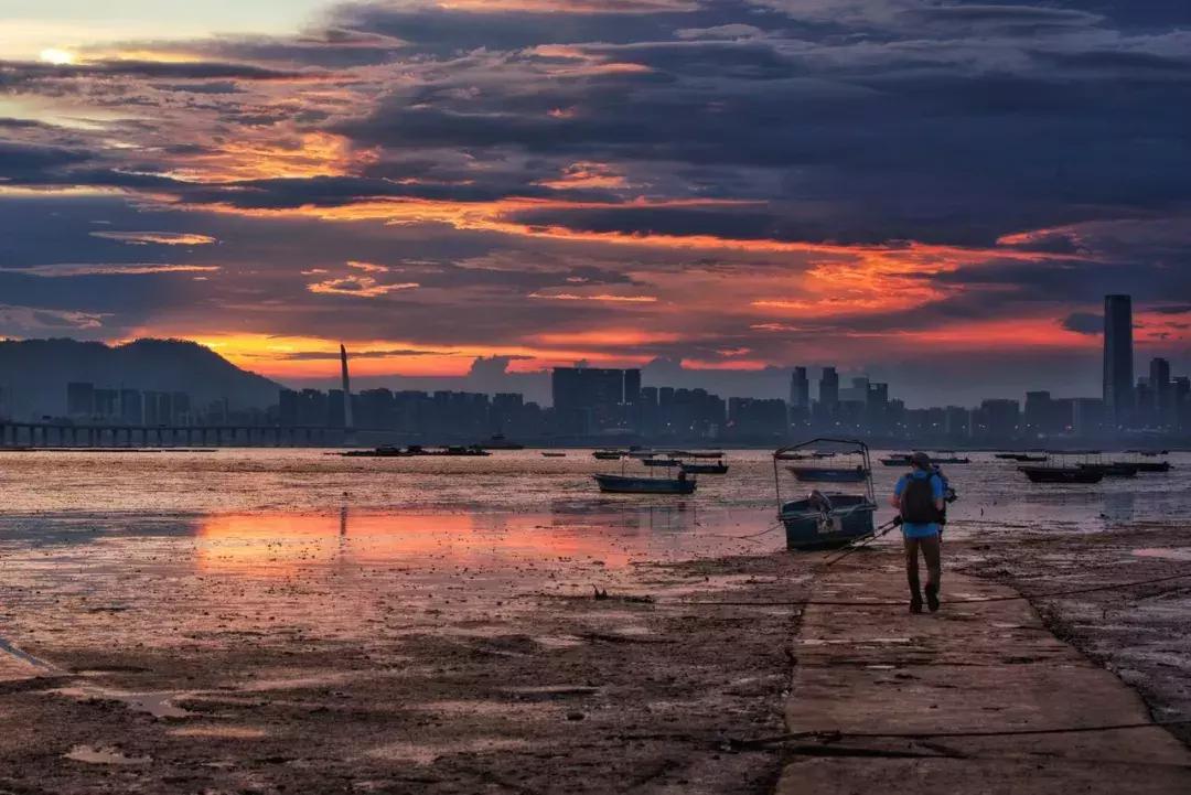 有人评论谁给你拍的照片,你拍的视频有人点赞吗