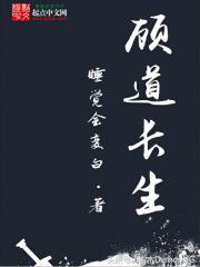 都市小说余罪,十大公认都市小说神作