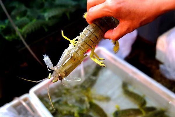 三亚陪伴孩子之旅结束寄语,陪伴是爱