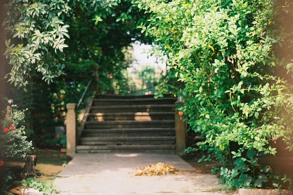 四月适合旅游的地方,四月旅游最好的去处