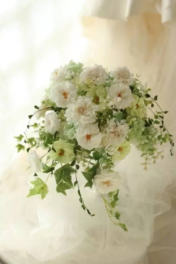 永生花注意事项图,永生花的鉴别方法