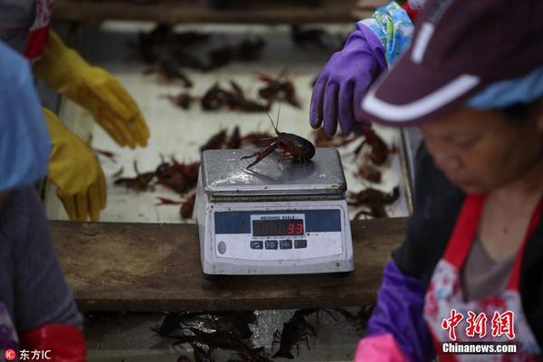 10万只小龙虾搭专列出征世界杯，价格飙升20%，大量资本涌入