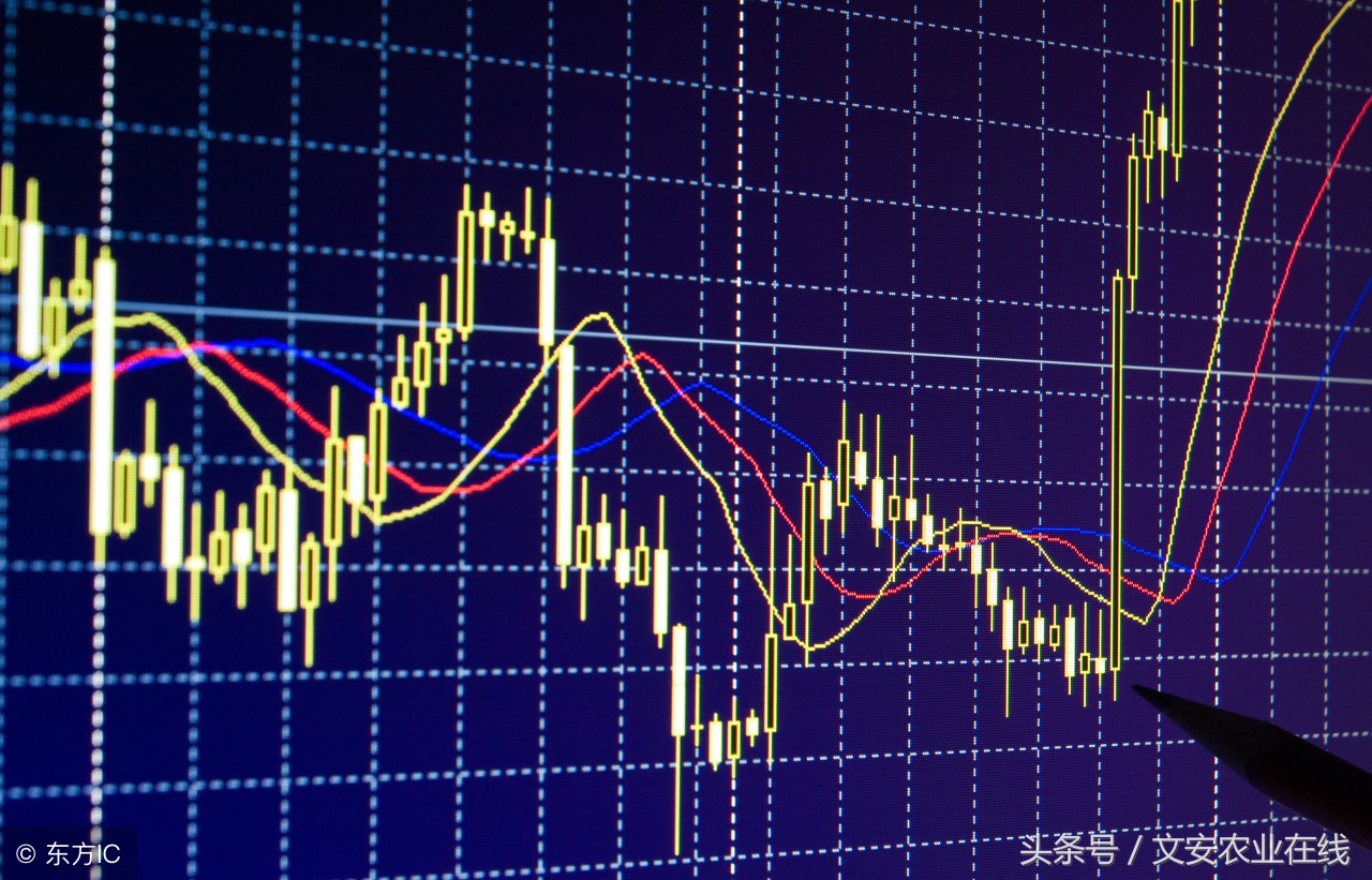 2011年10月23日大蒜价格,今日大蒜价格多少钱