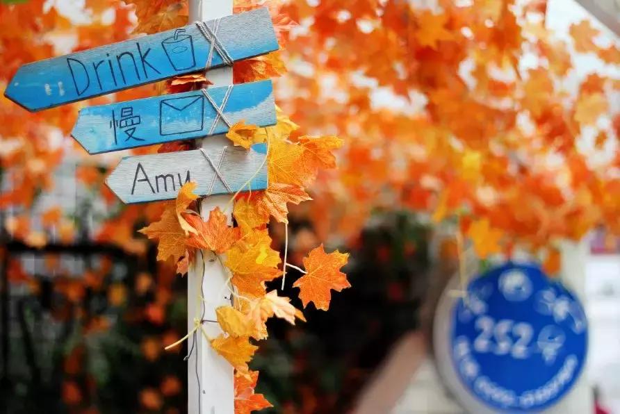 这个夏天总要来一趟浪漫的厦门,这个夏天再和你去一次厦门