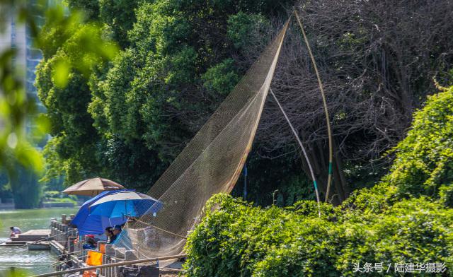 粽情端午南通,粽情端午邻里相约