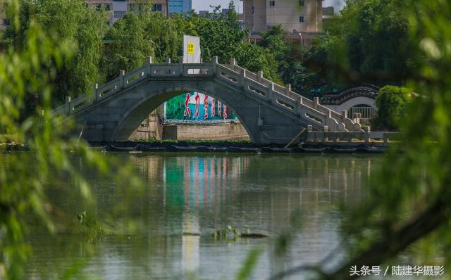 粽情端午南通,粽情端午邻里相约
