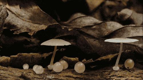 三年，年年爆满期期好评的深沪“天才”夏令营，究竟有什么法宝？