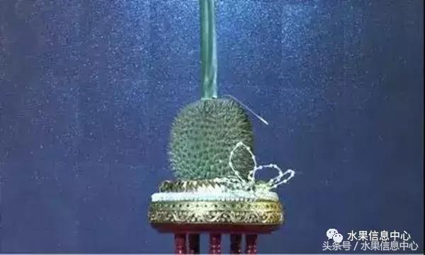 泰国最贵榴莲有多贵,泰国最贵的榴莲多少钱一斤