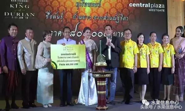 泰国最贵榴莲有多贵,泰国最贵的榴莲多少钱一斤