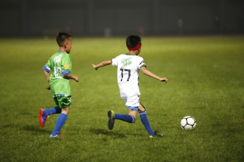 卡塔尔世界杯七大中国元素绘画,世界杯中的中国元素