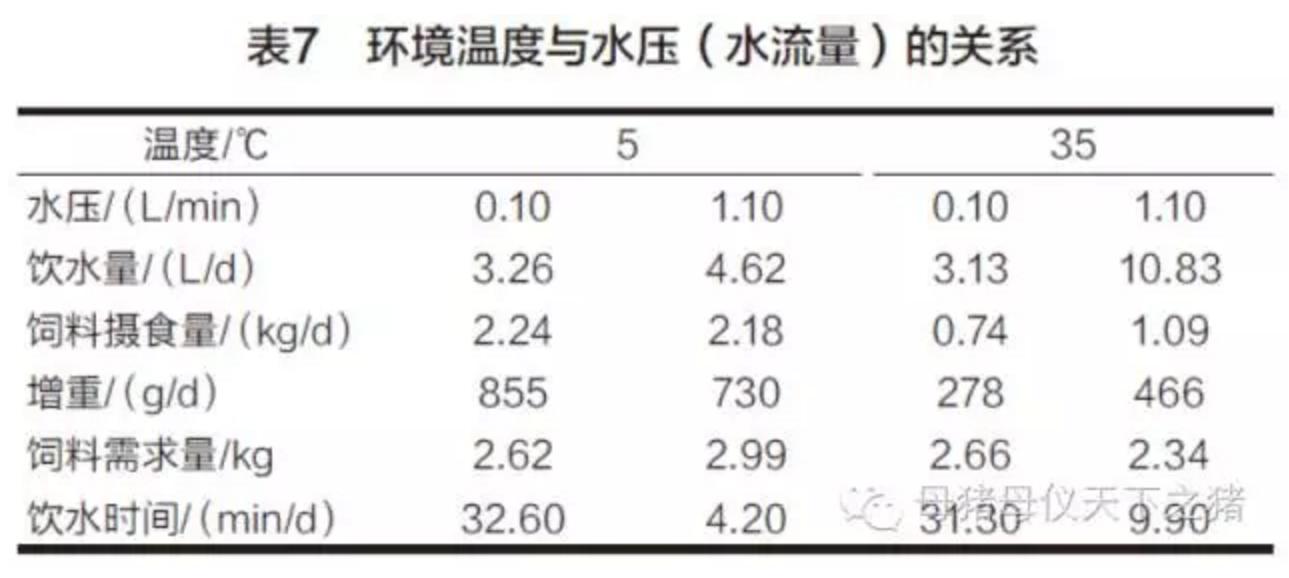 刚配完种的母猪不吃料怎么办,母猪不吃怎么办教你一招