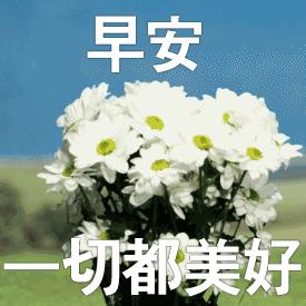 早上好最美的祝福送给你短句子,早上好的温馨祝福送给你