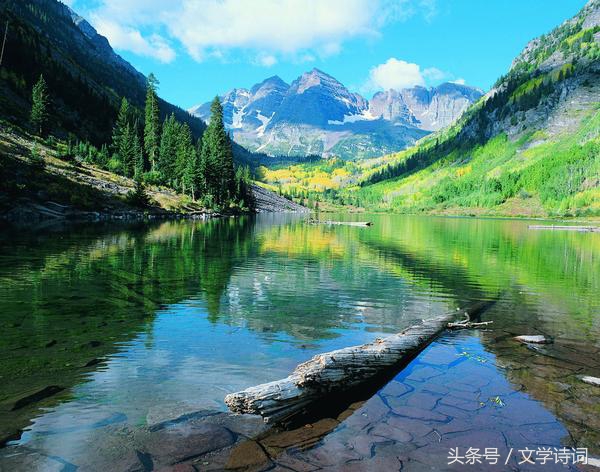 直道相思了无益未妨惆怅是清狂意,直道相思了无益未妨惆怅是清狂