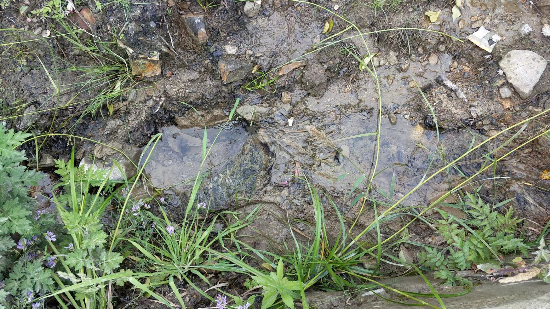 骑行进藏第51天,骑行第49天到拉萨