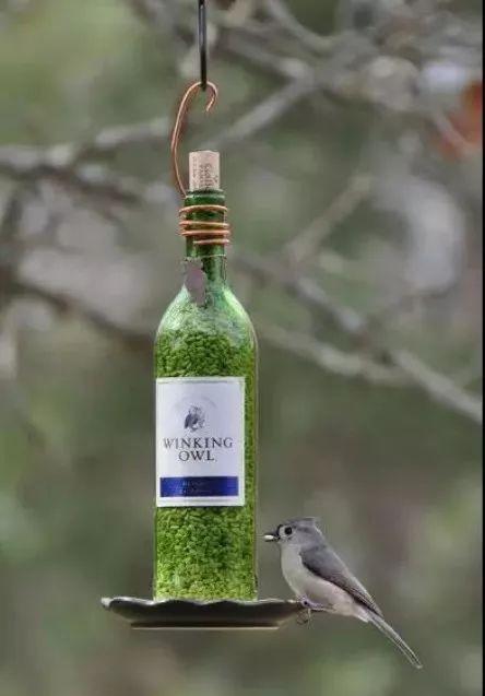 创意农业丨妙用瓶子,让你的农场不一样