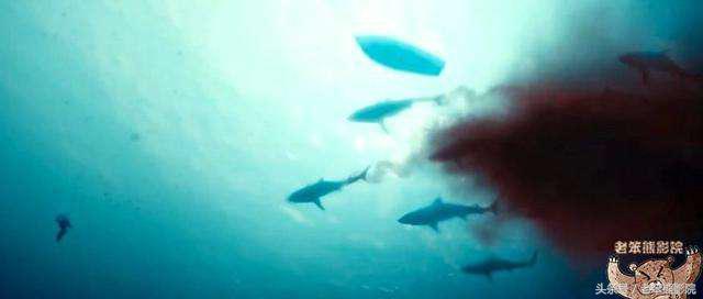 参赛者互相厮杀的人狼游戏，谁才能活到最后赢得巨额奖金？